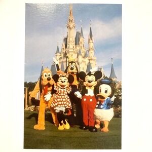 Mickey and Friends at Castle Walt Disney World 4x6 Postcard